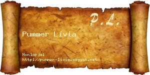 Pummer Lívia névjegykártya